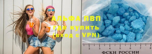 мяу мяу мука Баксан