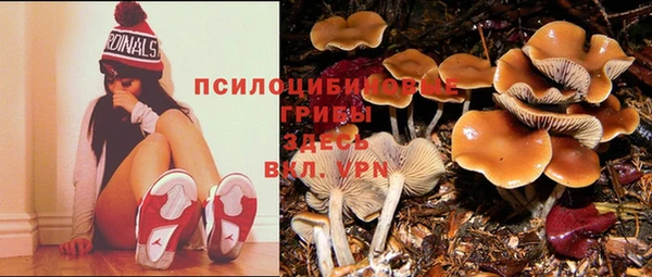 каннабис Аркадак