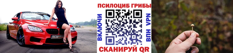 цена   Волжск  Псилоцибиновые грибы ЛСД 
